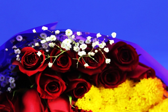 Bouquet 12 Rosas