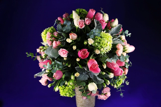 Rosa Glamour