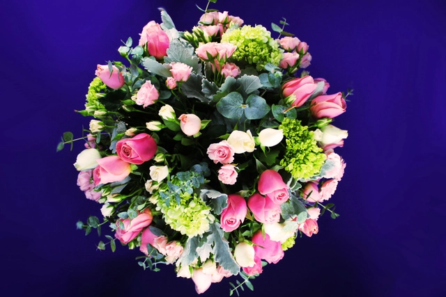 Rosa Glamour