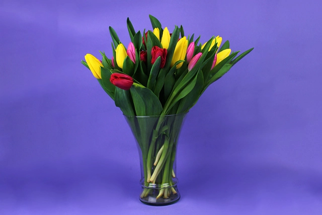30 Tulipanes Combinados en Jarrón