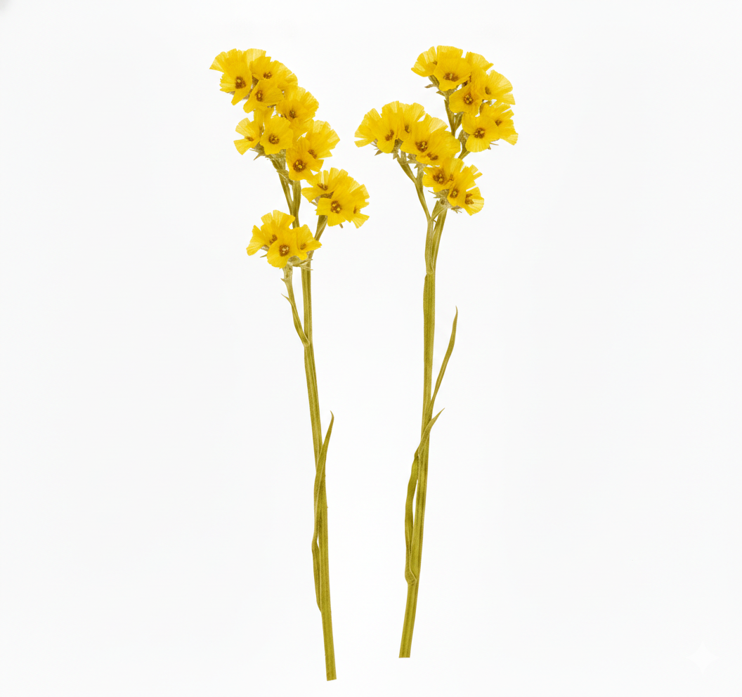 Statil amarillo